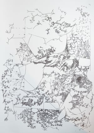 dscf3855