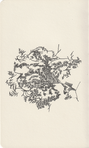 ongewild_scan_typo-2