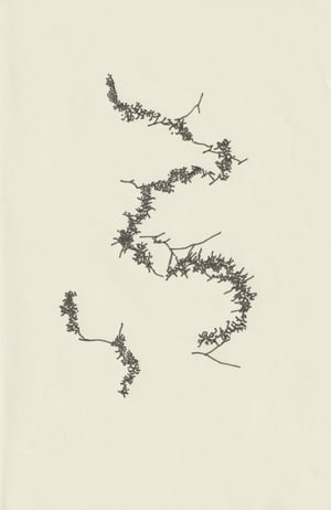 sketchbook_a5_380x580_web2